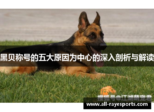 黑贝称号的五大原因为中心的深入剖析与解读